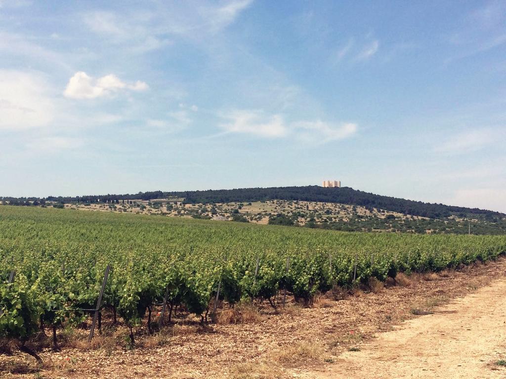 Ai Pilieri Di Bagnoli Βίλα Castel Del Monte  Εξωτερικό φωτογραφία
